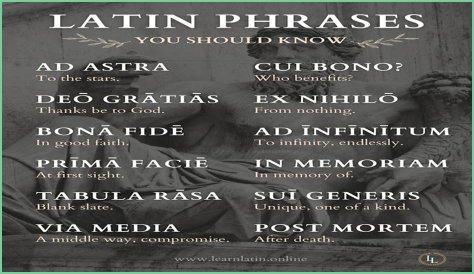 A Profile Of A Latin Beauty